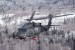 UH-60A nad lesem.jpg